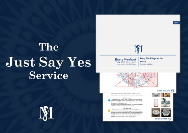 Support to Fellow Professionals: The Just Say Yes Service